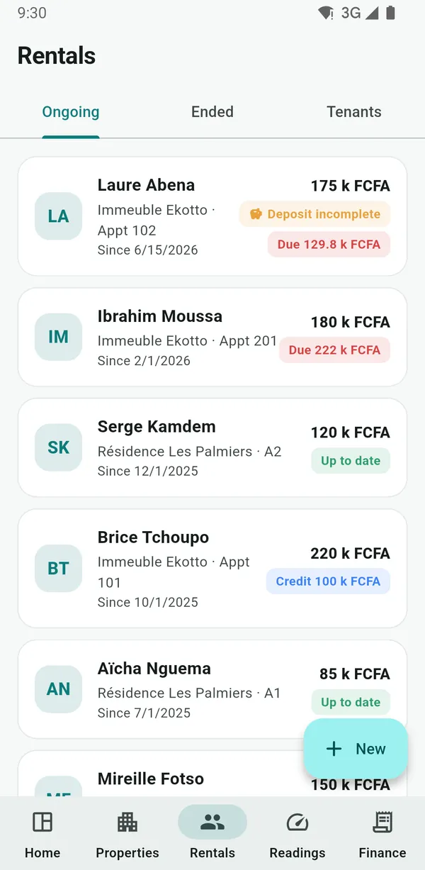 NHimmo screenshot: Leases and tenant balances